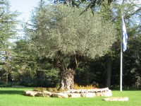 Herzlova hora - místo pietních akcí