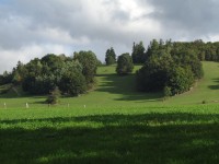 Pastviny nad Janovicemi