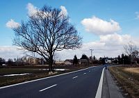 silnice směrem do Kvasic