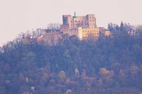 Výhled na hrad Buchlov