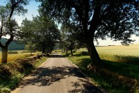 Výlet za zříceninou hradu Rokštejna na Vysočině