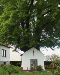 Kaplička u Památného stromu