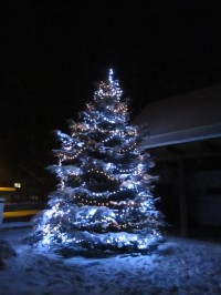 obecní vánoční strom v areálu pivovaru