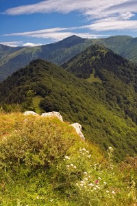 Starý dvor - Baraniarky - Žitné - Kraviarske - Stará dolina