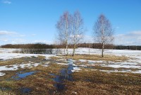 Přírodní památka Kutiny v zimě
