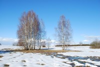 Přírodní památka Kutiny v zimě