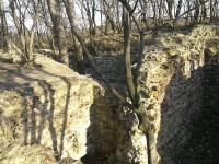 Oblast zbytků hradu v Kunratickém lese