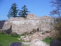 Zříceniny hradu Litice