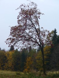 Podzimní přírodou v okolí Hukvald