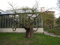 Botanická zahrada venkovní expozice