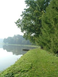 Borovec - rybník