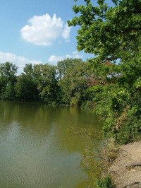 Stěbořický rybník