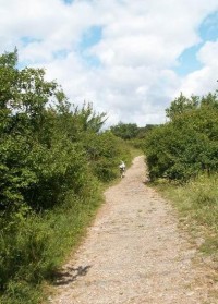 Hádecká planina: Jedna z cest vedoucích po okraji Hádecké planiny (žlutá turistická značka).