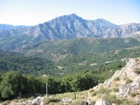 Pohled na stezce k Monte Tolu