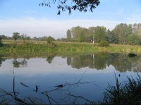 Tisův rybník