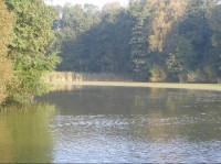 Písečný rybník
