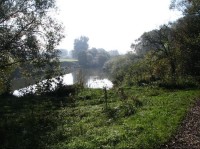Rybník Nová louka - hned za hrázi teče Odra
