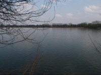 Oderský rybník