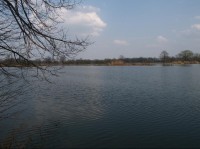 Oderský rybník