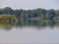 Rybník Bezruč