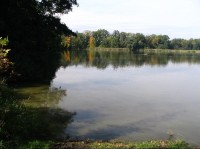 Starý rybník