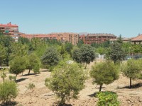 Tres Cantos, výstavba parku pokračuje skrz celé sídliště