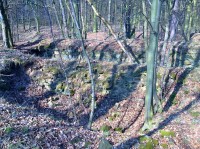 Pozůstatky hradních zdí - Čalonice