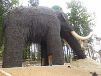 statný mamut