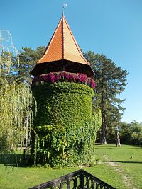 vežička vyzdobená kvetinami a popínavou zeleňou
