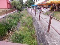 miestny potok Losinka zmenený na zeleň