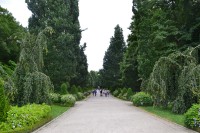 hlavný chodník v parku