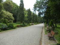 chodník v parku - stromy, kvety