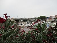 pohľad cez všadeprítomné rozkvitnuté oleandry na most nad prístavom
