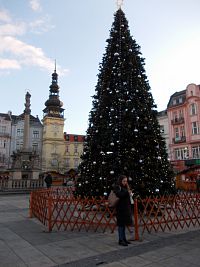 vianočný strom na Masarykovom námestí
