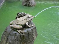 žabka chrliaca vodu