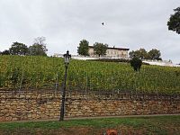 Grobeho vila a vinice, ktoré majú začiatok niekde v 13. stroročí a vila