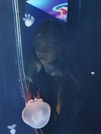 zaujímavá medúza