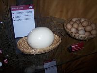 veľkosti vajec pre porovnanie