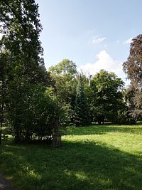soška v parku
