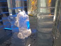ľadový medveď tiež z Hrebienka