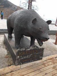 statný medveď pri lanovke na Hrebienku