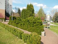 chodník a lavičky v záhrade - parku