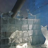 na ľadovom múre nechýbali ani zvieratká z Tatier