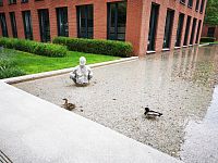 socha a živé kačky vo vode