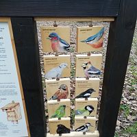 ďalší z infopanelov o vtáčikoch žijúcich v parku