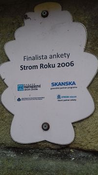 finalista ankety Strom roku 2006