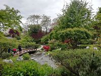 kľud a pokoj v japonskej záhrade Setagayapark