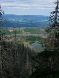Pohled na Plešné jezero od Plechého