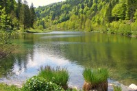 Jezero Wiesensee