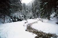 KOLEM ZAMRZLÝCH VODOPÁDŮ SLOVENSKÉHO RÁJE